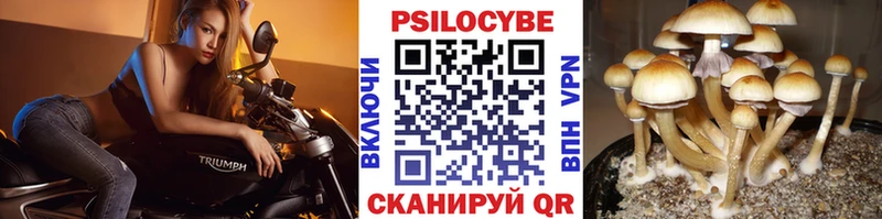 мориарти состав  Закаменск  Псилоцибиновые грибы MAGIC MUSHROOMS 